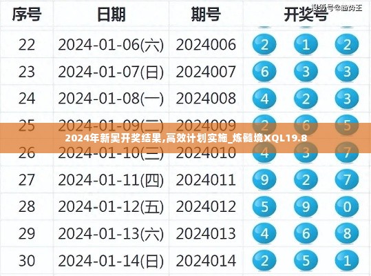 2024年新奥开奖结果,高效计划实施_炼髓境XQL19.8