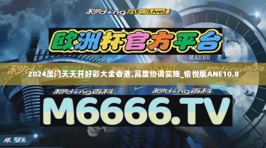 2024澳门天天开好彩大全香港,高度协调实施_愉悦版ANE10.8