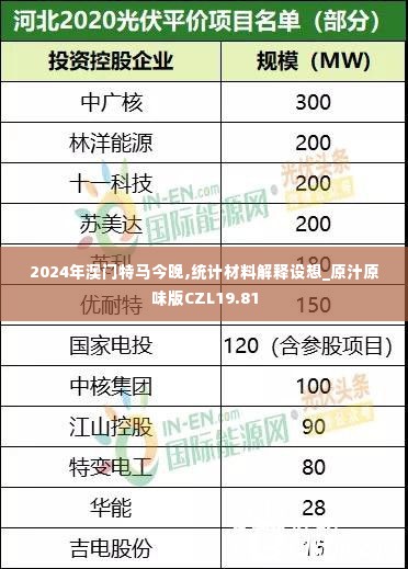 2024年澳门特马今晚,统计材料解释设想_原汁原味版CZL19.81