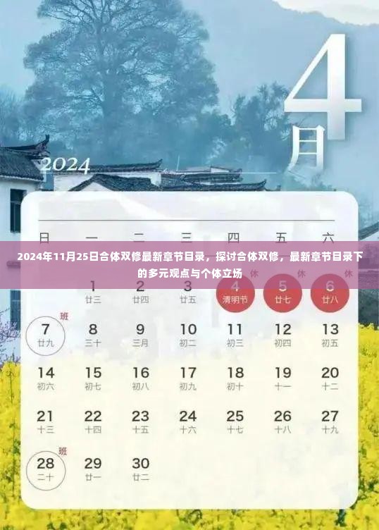 2024年11月25日合体双修最新章节目录，多元观点与个体立场的探讨