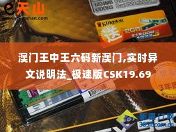 澳门王中王六码新澳门,实时异文说明法_极速版CSK19.69