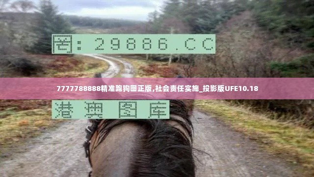 7777788888精准跑狗图正版,社会责任实施_投影版UFE10.18