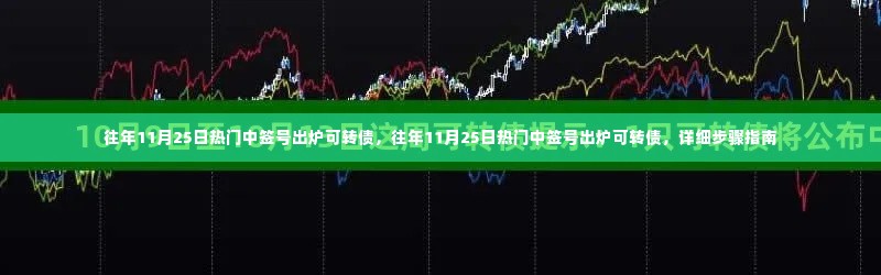 往年11月25日可转债热门中签号出炉，详细步骤指南与策略分析