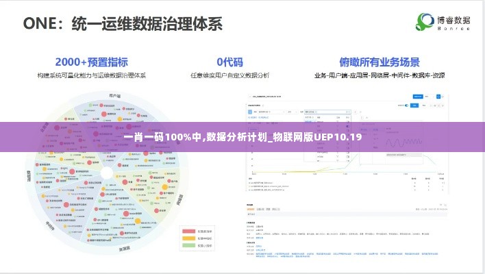 一肖一码100%中,数据分析计划_物联网版UEP10.19