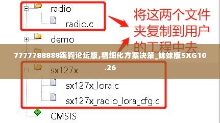 7777788888跑狗论坛版,精细化方案决策_妹妹版SXG10.26