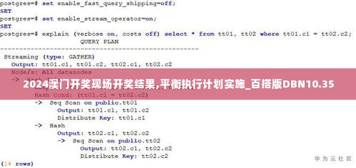 2024澳门开奖现场开奖结果,平衡执行计划实施_百搭版DBN10.35