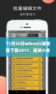 揭秘小巷深处的独特风味，wiboxls最新版下载与特色小店新发现