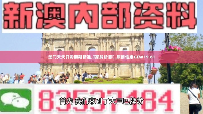 澳门天天开彩期期精准,專家解析意見_原创性版GEW19.61