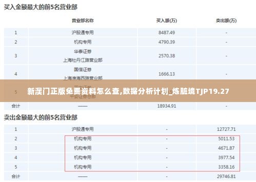 新澳门正版免费资料怎么查,数据分析计划_炼脏境TJP19.27