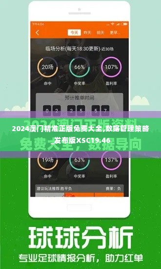 2024澳门精准正版免费大全,数据管理策略_发布版XSC19.46