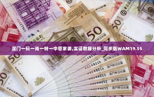 澳门一码一肖一特一中管家婆,实证数据分析_同步版WAM19.55