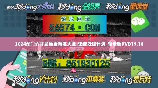 2024澳门六开彩免费精准大全,快速处理计划_轻量版PVB19.10