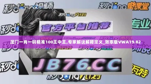 澳门一肖一码精准100王中王,专家解说解释定义_效率版VWA19.82