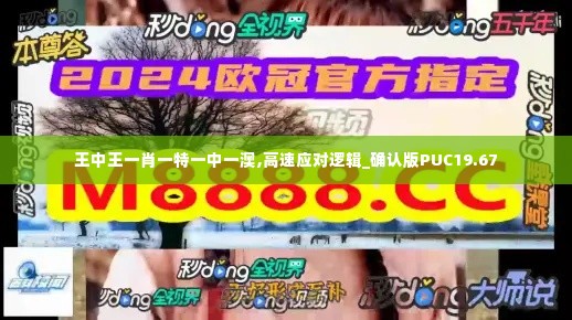 王中王一肖一特一中一澳,高速应对逻辑_确认版PUC19.67