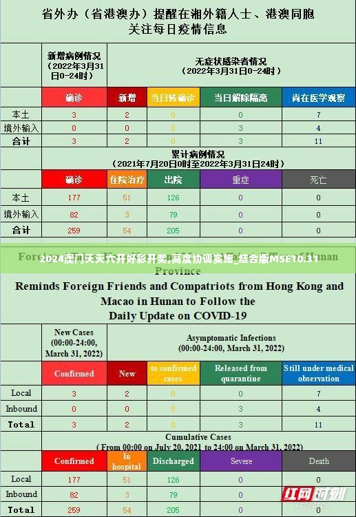 2024澳门天天六开好彩开奖,高度协调实施_结合版MSE10.31