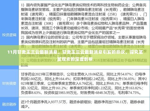 甘肃王三云最新消息及引发的热议与深度观点剖析