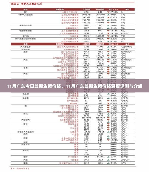 广东最新生猪价格深度评测与介绍，11月最新行情分析