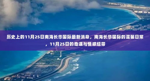 南海长华国际，11月25日的温馨日常与奇遇纪事