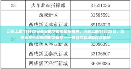 历史上的11月25日西安医学检验最新招聘动态深度解析