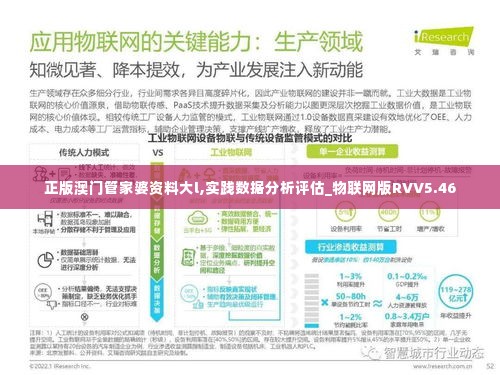 正版澳门管家婆资料大l,实践数据分析评估_物联网版RVV5.46