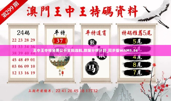 王中王中特免费公开资料选料,数据分析计划_同步版WAM5.36