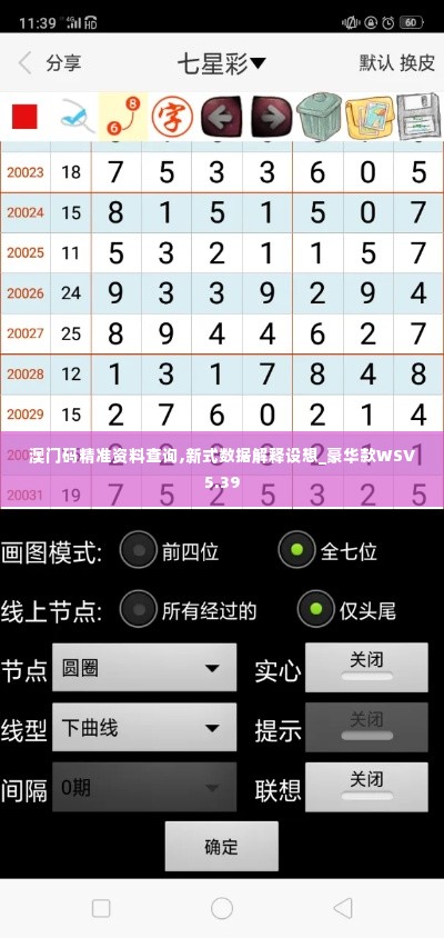 澳门码精准资料查询,新式数据解释设想_豪华款WSV5.39