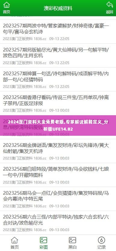 2024澳门资料大全免费老版,专家解说解释定义_分析版UFE14.82