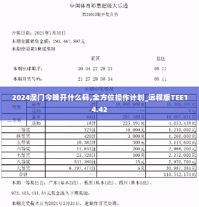 2024澳门今晚开什么码,全方位操作计划_远程版TEE14.42