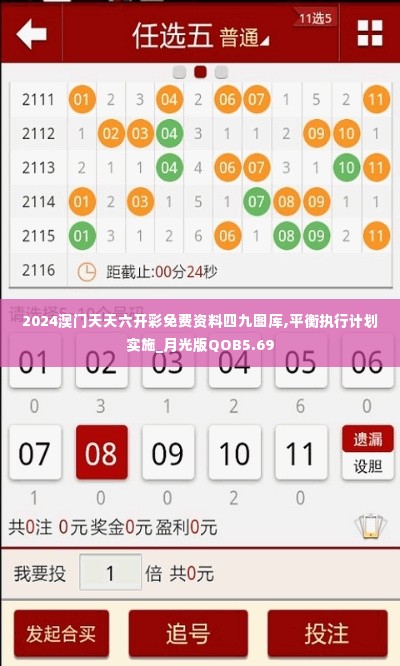 2024澳门天天六开彩免费资料四九图厍,平衡执行计划实施_月光版QOB5.69