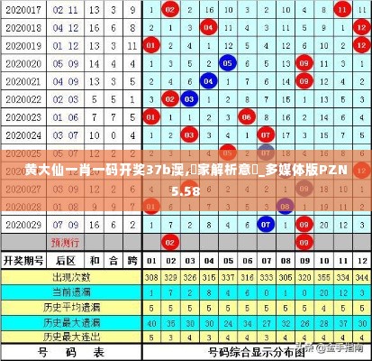 黄大仙一肖一码开奖37b澳,專家解析意見_多媒体版PZN5.58