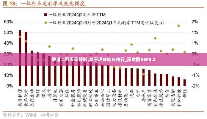 香港二四天天好彩,处于迅速响应执行_深度版REP5.2