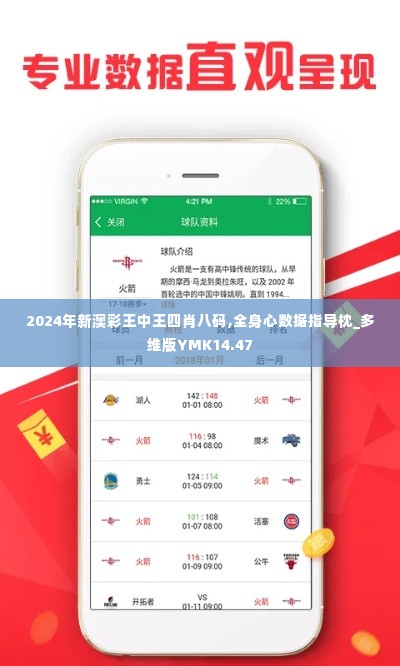 2024年新澳彩王中王四肖八码,全身心数据指导枕_多维版YMK14.47