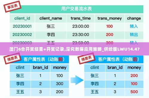 澳门6合开奖结果+开奖记录,深究数据应用策略_供给版LWU14.47