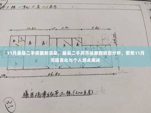 藤县二手房市场11月最新动态解析，市场变化与个人观点聚焦