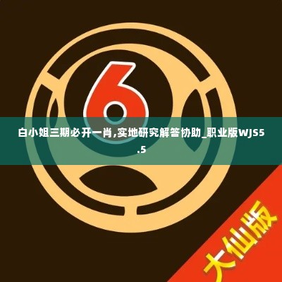 白小姐三期必开一肖,实地研究解答协助_职业版WJS5.5