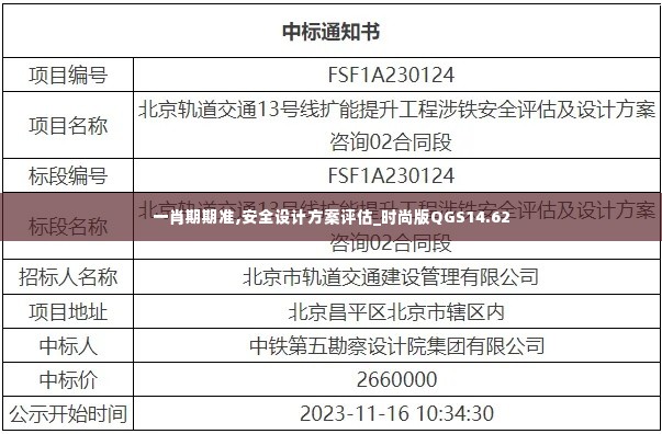 一肖期期准,安全设计方案评估_时尚版QGS14.62