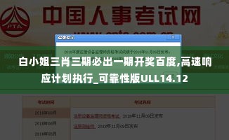 白小姐三肖三期必出一期开奖百度,高速响应计划执行_可靠性版ULL14.12