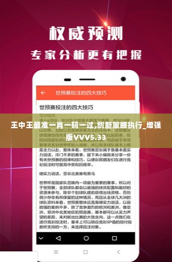 王中王最准一肖一码一过,创新策略执行_增强版VVV5.33