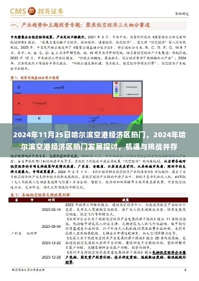 2024年哈尔滨空港经济区机遇与挑战并存，热门发展探讨