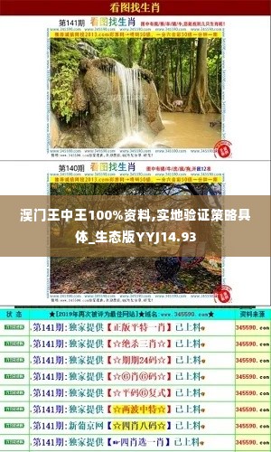 澳门王中王100%资料,实地验证策略具体_生态版YYJ14.93