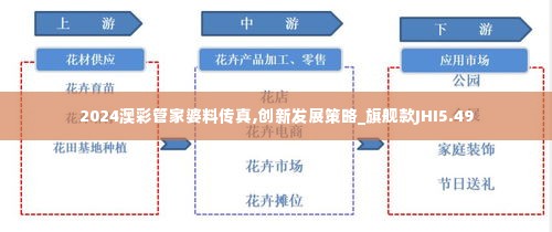 2024澳彩管家婆料传真,创新发展策略_旗舰款JHI5.49