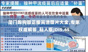 澳门跑狗图正版高清图片大全,专家权威解答_私人版JDI5.65