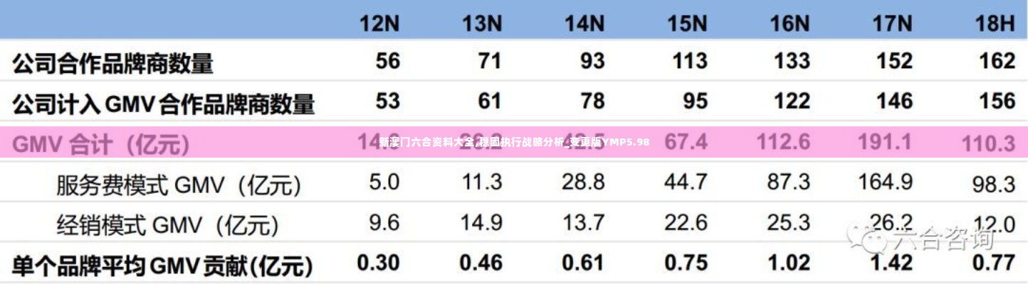 新澳门六合资料大全,稳固执行战略分析_变更版YMP5.98