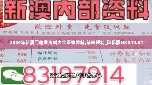 2024年新澳门精准资料大全管家婆料,策略规划_随机版HXG14.81