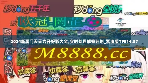 2024新澳门天天六开好彩大全,实时处理解答计划_紧凑版TFE14.57