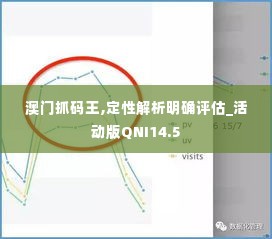 澳门抓码王,定性解析明确评估_活动版QNI14.5