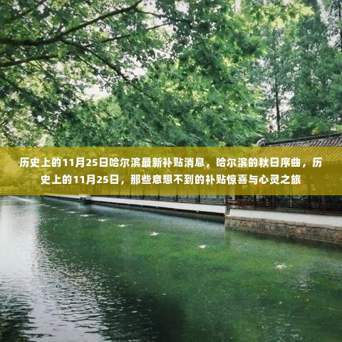 哈尔滨秋日序曲，历史上的11月25日补贴惊喜与心灵之旅揭秘