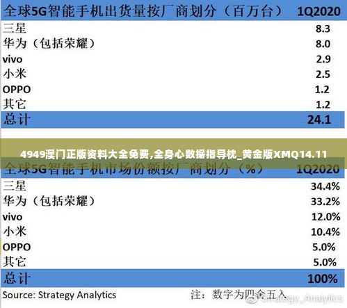 4949澳门正版资料大全免费,全身心数据指导枕_黄金版XMQ14.11