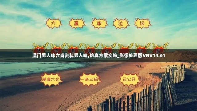 澳门男人味六肖资料男人味,仿真方案实施_影像处理版VNV14.61