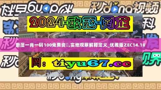 新澳一肖一码100免费资枓,实地观察解释定义_优雅版ZEC14.18